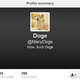 Illustration for article titled Top 10 Twitter Doges Much Followed